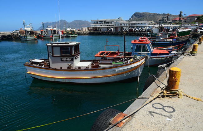 Bradclin @ York Place - Foto 39