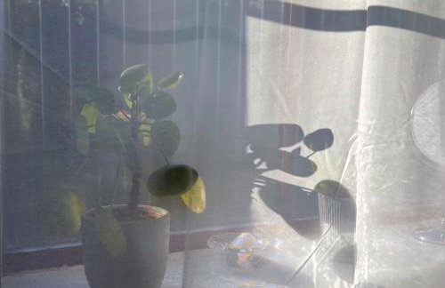 Renovated 1B Studio Apartment w Balcony in Central Brixton - Foto 23