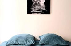 Tour Ouest - T2 entre Cité Médiévale et Bastide - Foto 30