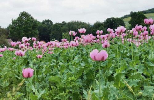 Willkommen im Kalletal - Photo 9