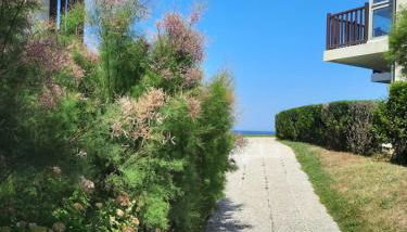 Horizon Marin accès direct plage - Photo 1