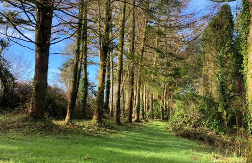 Hollyhocks Holiday Home- 2 bedroomed ground floor apartment sleeps 5 - Foto 35