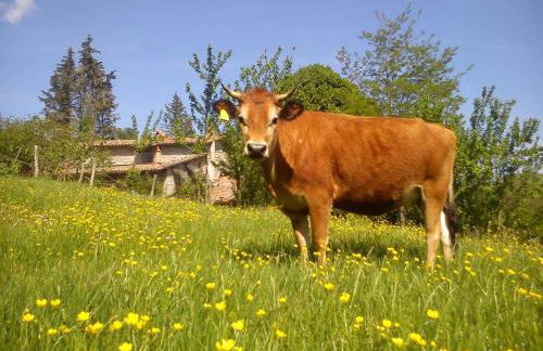 Agriturismo Podere Asche - Photo 26