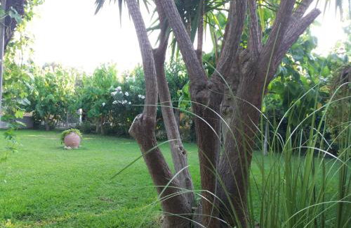 Beach House for up to 9 people near Olympia - Foto 4