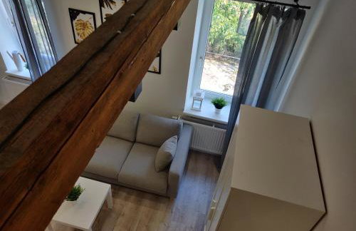 Konopnickiej 9 Studio z antresolą PTAK, Orientarium, Atlas ARENA, Szpital, Mandoria, Fala, Centrum Zdrowia Matki Polki, Rodzina, Family, bezpłatny parking - Foto 6