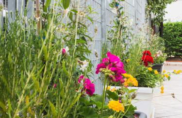 Villa Matilde - Foto 57