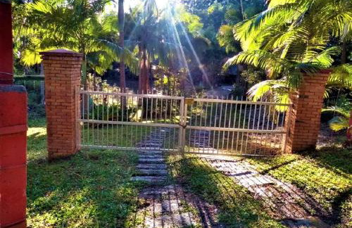 Sitio Libardo em Meio a Natureza - Nova Trento - Foto 142