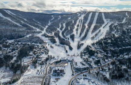 Black Bear Cabin - Foto 61