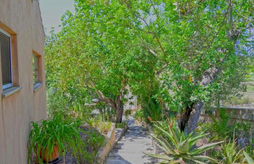 CA'N MARC (CHARMING HOUSE CENTER ISLAND) - Foto 8