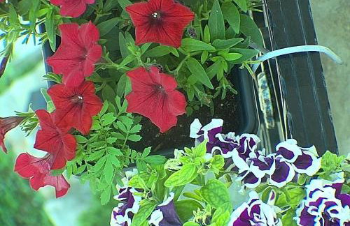 Villa Maria - Foto 19