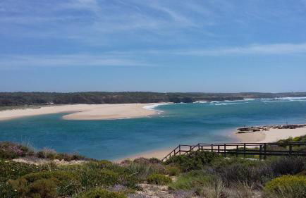 Gecko Pego Longo - Foto 16