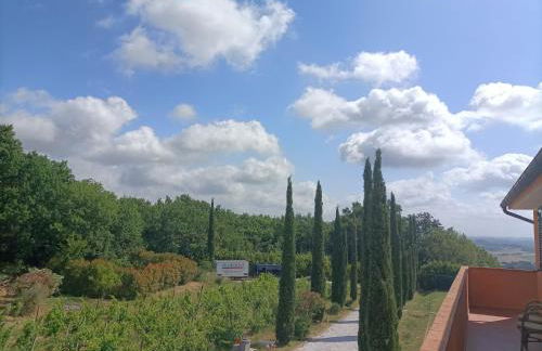 B&B Agriturismo Regno di Toscana - Foto 12