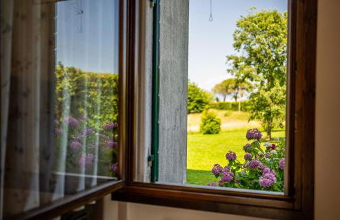 GATTO IN VIGNA - Foto 37