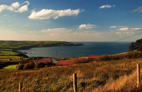 The Yorkshireman - Foto 16