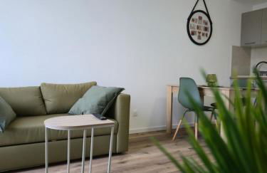 303 - Strasbourg appartement Green refait à neuf - Foto 6