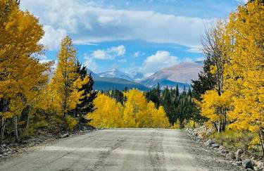 Abandoned Rail Cabin -19 miles to Breckenridge! Hot Tub! - Foto 40