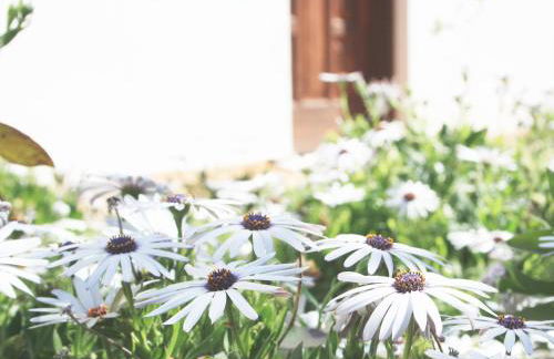 Casa Rainer - Foto 7