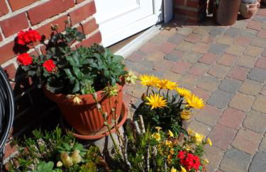 Lütt Verbliev - Foto 6