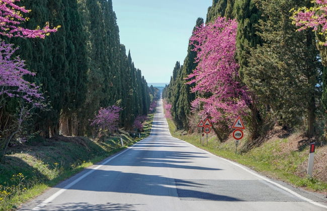 Agriturismo La Valle - Foto 47