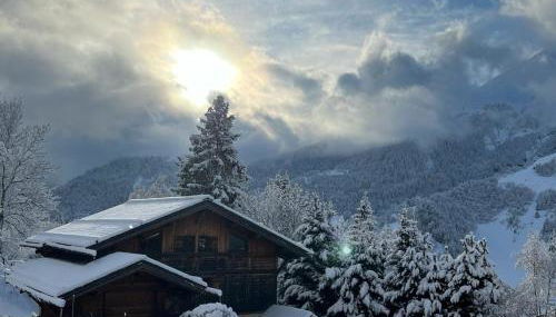 Superbe CHALET (14 personnes) & SAUNA au pied du Mont Blanc - Foto 3