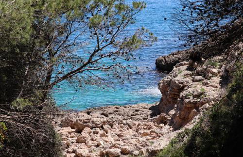 Les cases del vent II - Foto 21