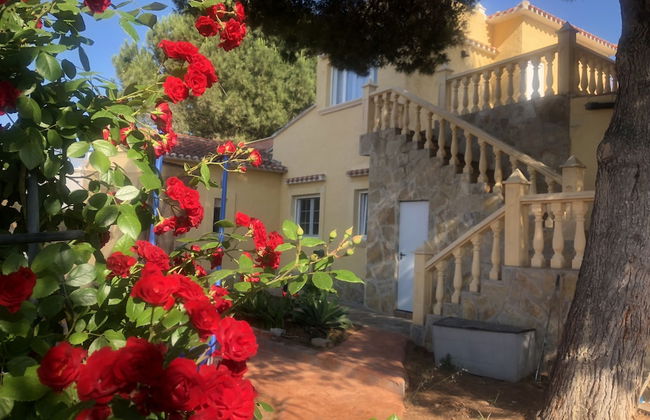 Eliza villa LUX - Foto 32