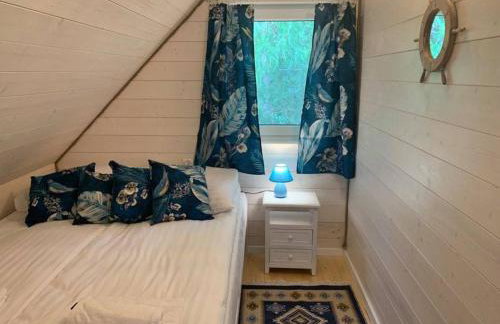 Kwiat Paproci - Foto 13