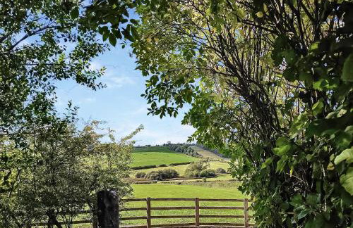 Valley View Barn - Photo 12
