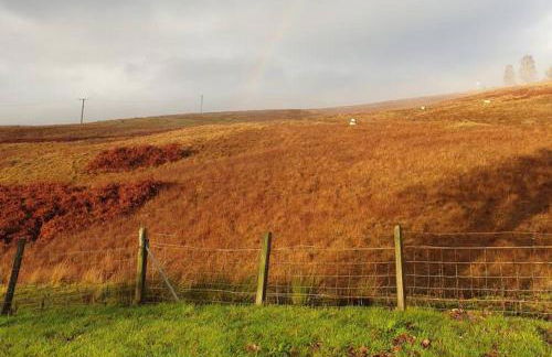 Old School, Spean Bridge - fun, friendly, relaxed - Photo 22