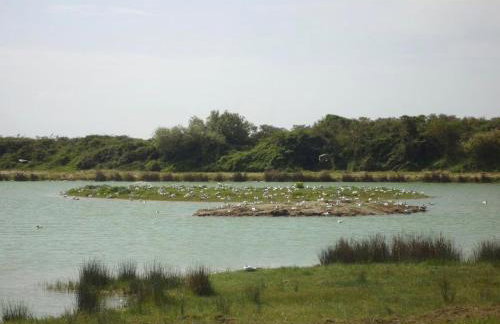 Le Nid de Boismont - Foto 7