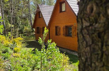 Domki Letniskowe nad Jeziorem Leśniańskim - Foto 28