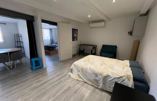 Logement Cosy 40 m2 Coeur historique de Lunel - Foto 12