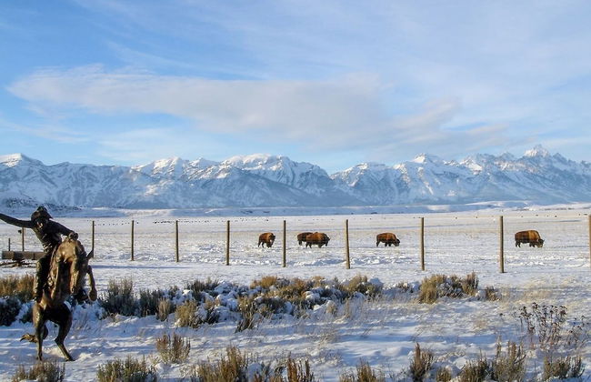 NEW! Elk Refuge Safari Chalet with Teton Views! - Foto 28