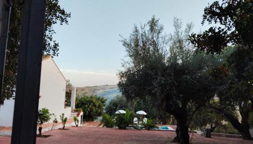 Los Tréboles - Foto 4