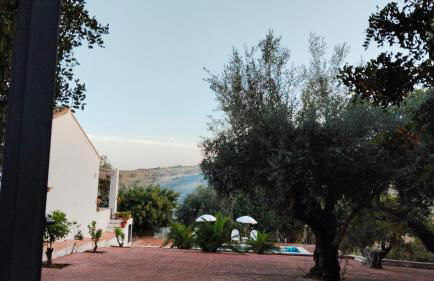 Los Tréboles - Foto 4