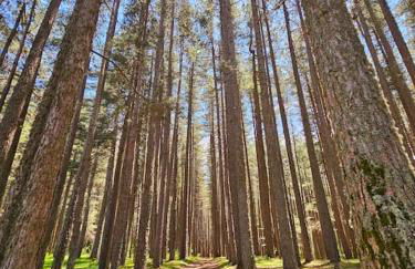 LORICAskiHOME - Foto 41