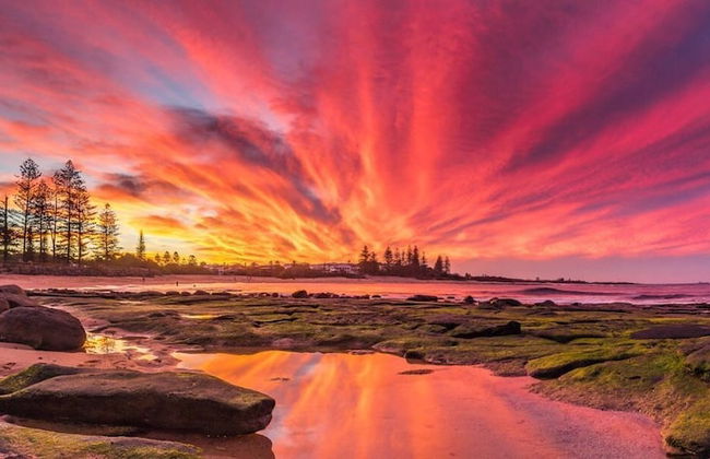 Nova Mooloolaba Beach - Foto 53