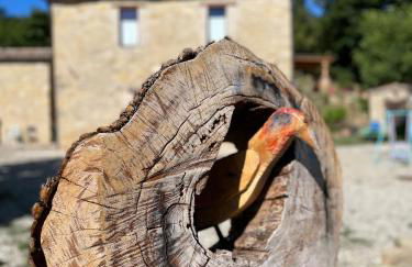 LA TANA DEL PICCHIO - Photo 14