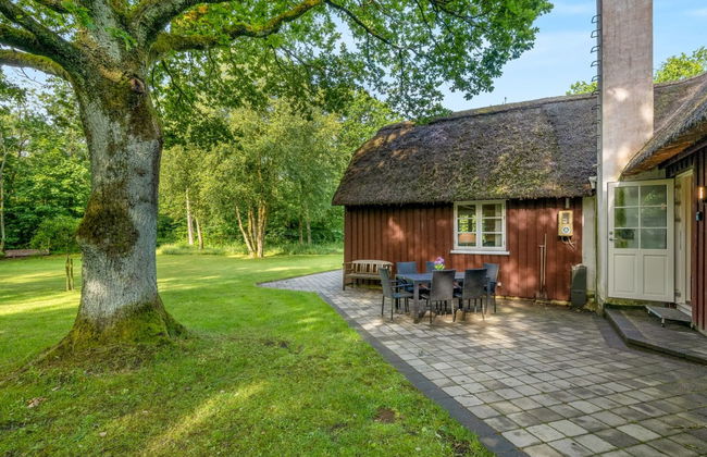 "Fina" - 15km from the sea - Foto 12