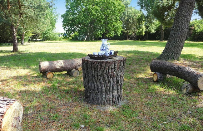 Holiday Home, Piriac sur Mer - Foto 17