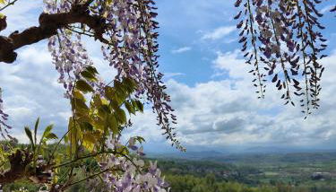 Relax in Langa - Foto 2