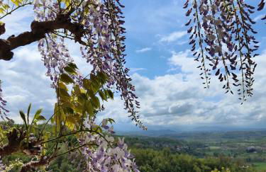 Relax in Langa - Foto 2