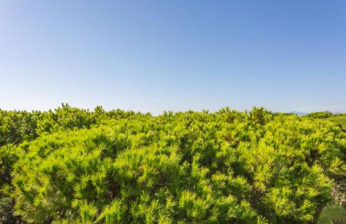 Oltremare Appartamenti - Foto 77