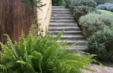 Podere Gattabigia - Foto 9