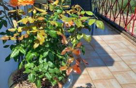 AMAZING VIEW IN ANTHIDONA - Foto 27