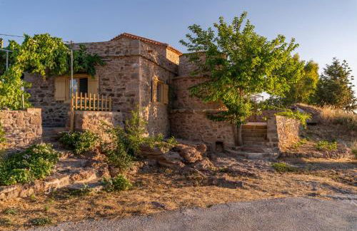 Το Παλιό Αγγειοπλαστείο Τσκαλαριό - Photo 46