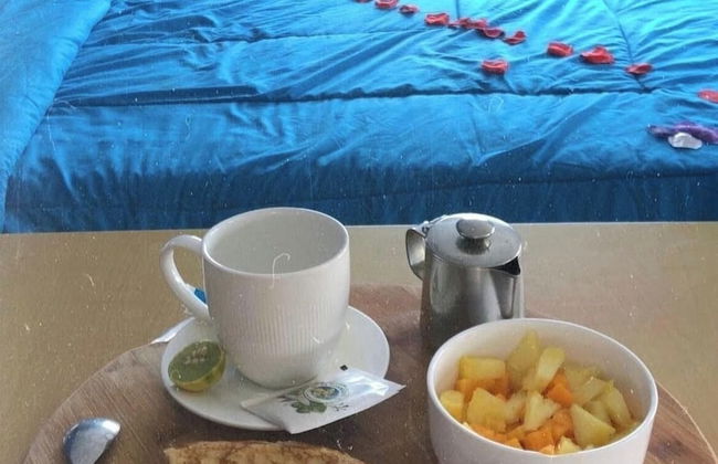 Résidence Ecologe - Photo 37