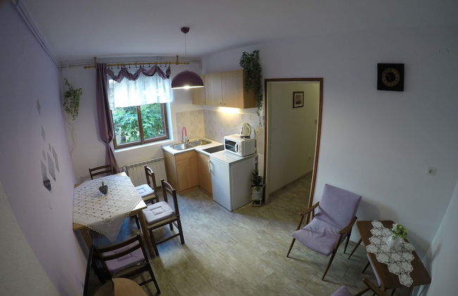 Antique Apartment With Balcony - Foto 22