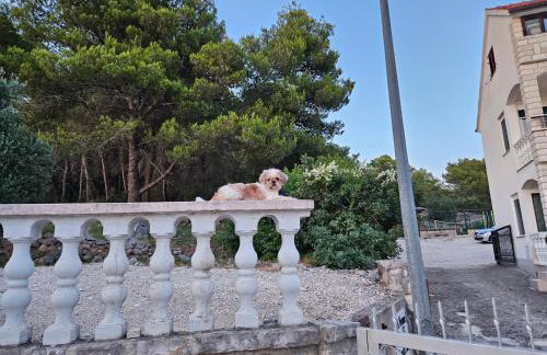 End of The Road ,Orange - Foto 9