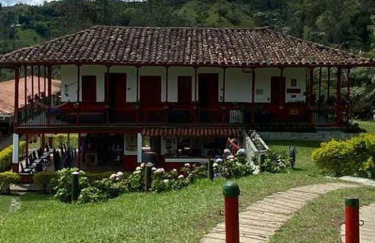 Visite de la plantation de café d'El Ocaso - Photo 1